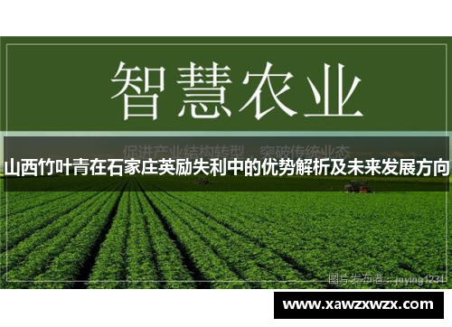 山西竹叶青在石家庄英励失利中的优势解析及未来发展方向